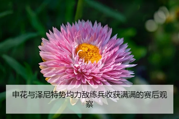 申花与泽尼特势均力敌练兵收获满满的赛后观察